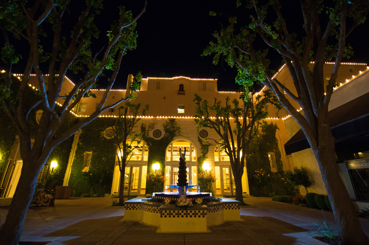 Historic Hotel Woodland • Sacramento Bride & Groom